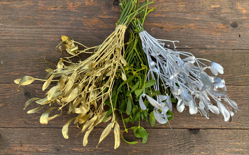 Návrh bez názvu (5)